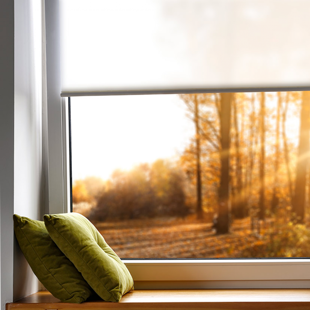 Estore de Rolo Screen S1000 - RTS1|S1 01 - StoresRapid